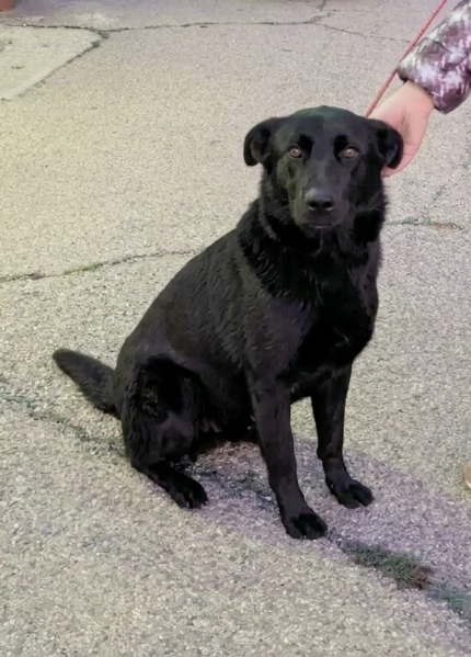 Una famiglia da amare per la dolcissima Clio  | Foto 2