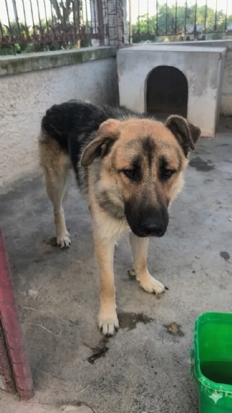 Mi chiamo Tom.. portami via con te | Foto 4