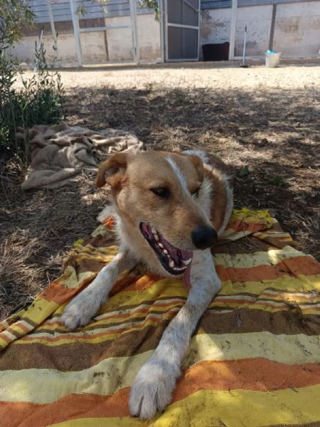 Dolce come un bacio: Kiss giovane maschietto  | Foto 3