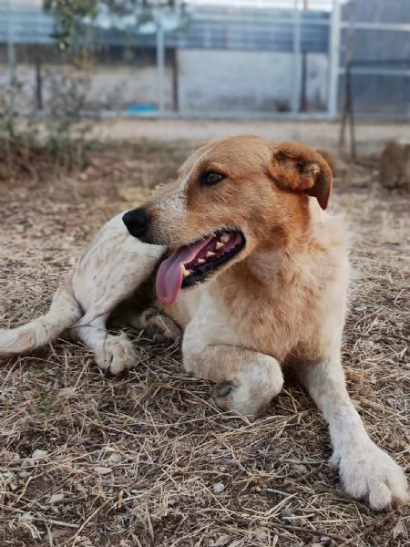 Dolce come un bacio: Kiss giovane maschietto 