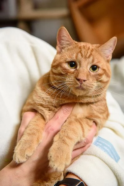 Vincent Van Miao 7 mesi | Foto 1