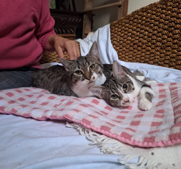 Onda e Marea, sorelline 6 mesi | Foto 3