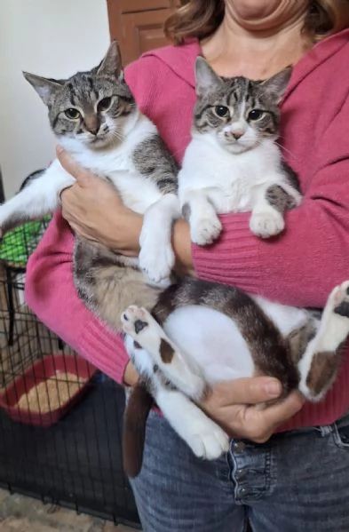 Onda e Marea, sorelline 6 mesi | Foto 2