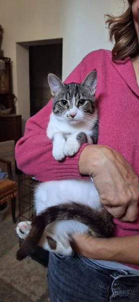 Onda e Marea, sorelline 6 mesi | Foto 1