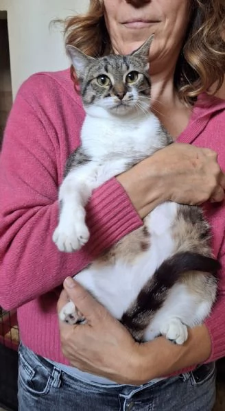 Onda e Marea, sorelline 6 mesi | Foto 0