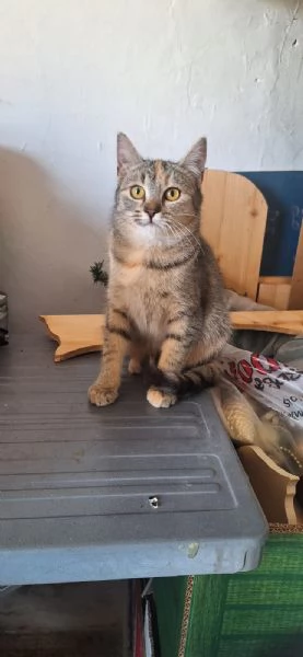 Mul&agrave;n e Merida, 4 mesi e super dolci | Foto 2