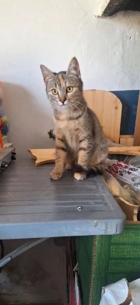 Mul&agrave;n e Merida, 4 mesi e super dolci | Foto 0