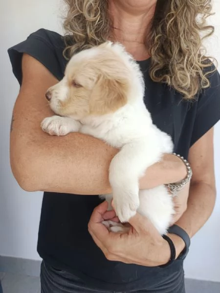 Fiona cucciola da spuppazzare | Foto 1