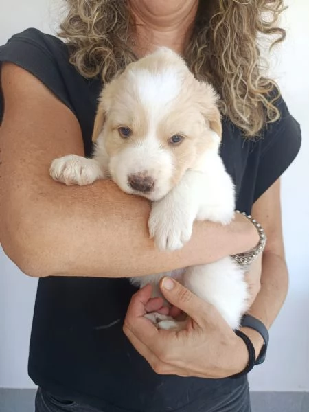 Fiona cucciola da spuppazzare | Foto 0