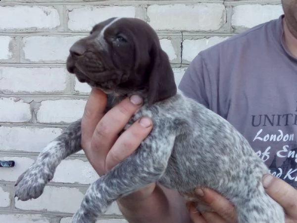 malika cerca un regalo per la casa! spina dorsale | Foto 3