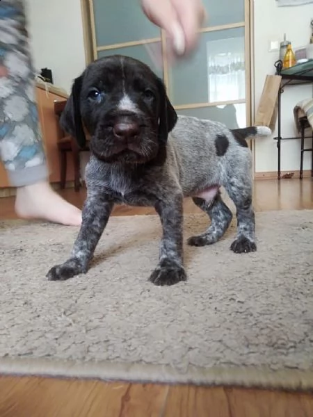 malika cerca un regalo per la casa! spina dorsale | Foto 2