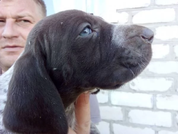 malika cerca un regalo per la casa! spina dorsale | Foto 1