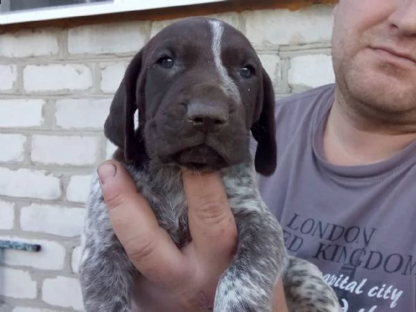 malika cerca un regalo per la casa! spina dorsale