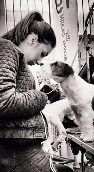 jack russell terrier - cuccioli altamente selezionati | Foto 1