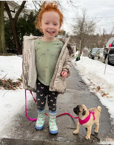 dcj simpatico regalo di cuccioli di carlino