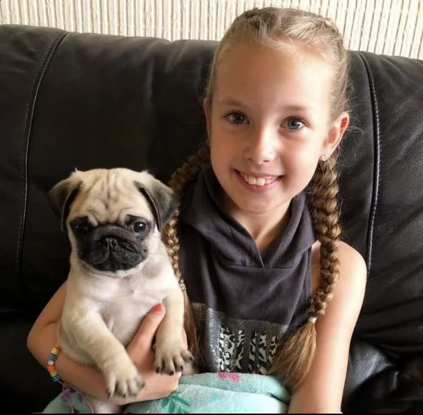 cuccioli di carlino pronti ora | Foto 0