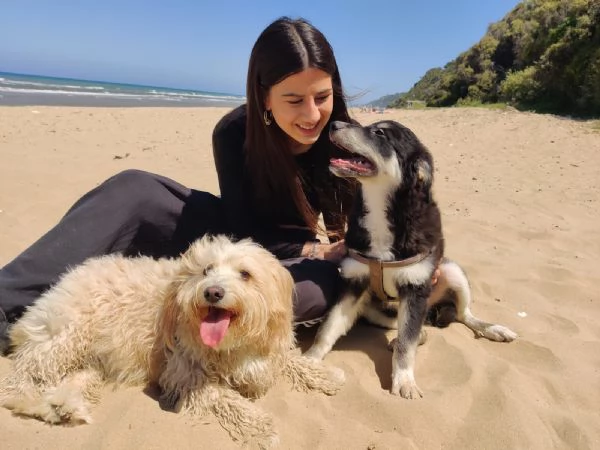 Cucciolo Kaos cerca casa 