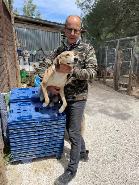 Pepito segugio cerca casa  | Foto 5