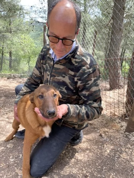 Whisky cucciolo rimasto solo  | Foto 5