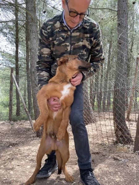 Whisky cucciolo rimasto solo  | Foto 2