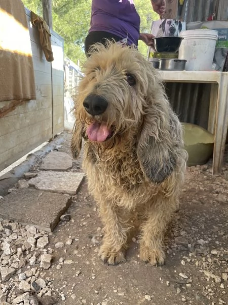 Margot adozione del cuore | Foto 1