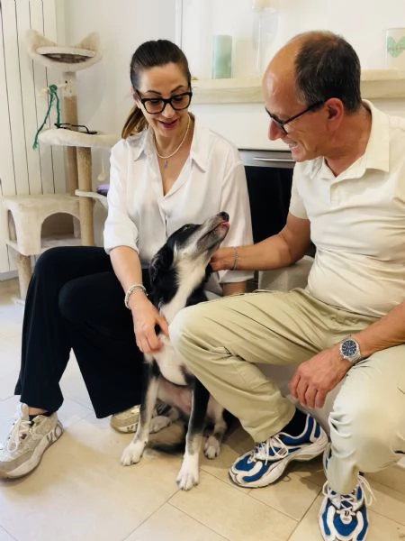 Caos rischia canile  | Foto 4