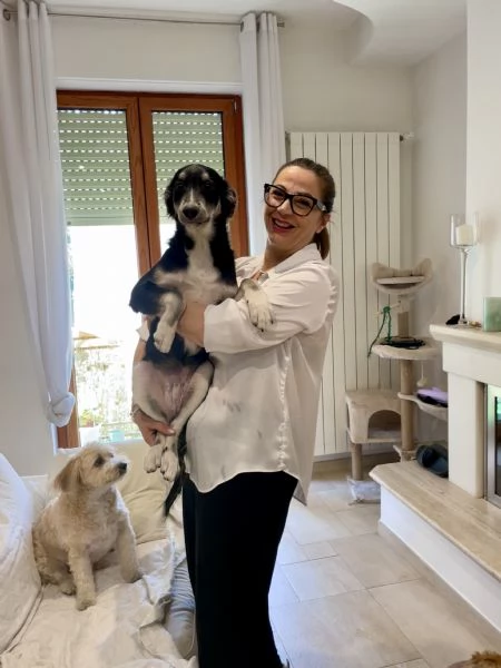 Caos rischia canile  | Foto 1