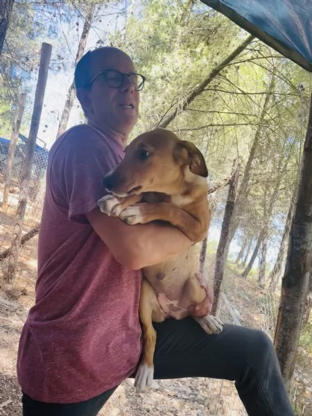 Cucciola Michela cerca casa  | Foto 5