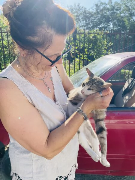 Micio Athos cerca casa  | Foto 3