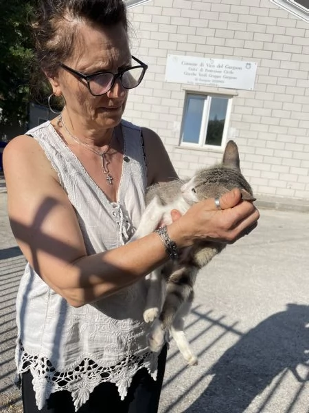 Micio Athos cerca casa  | Foto 1