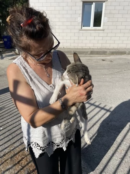 Micio Athos cerca casa  | Foto 0