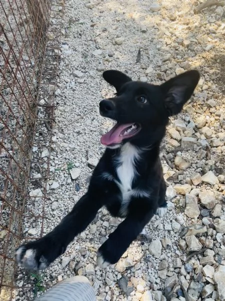 Mieko e Michela cercano casa  | Foto 2