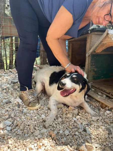 Paco 10 anni che aspetta  | Foto 0