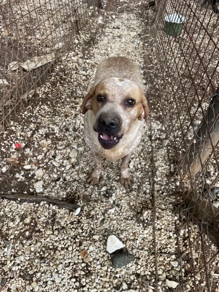 Aria cerca casa  | Foto 4