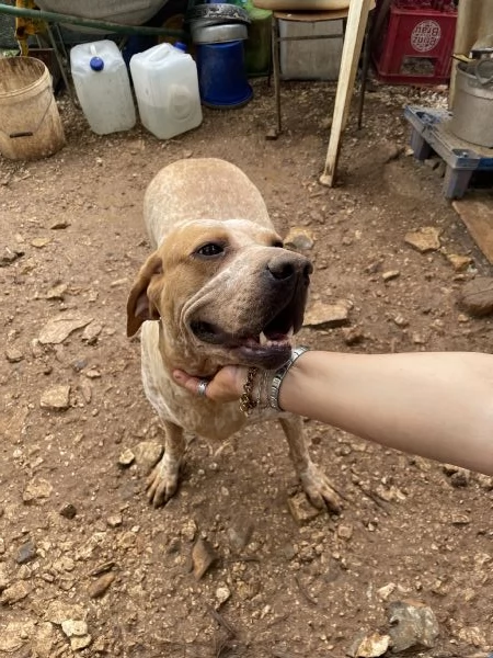 Aria cerca casa  | Foto 3