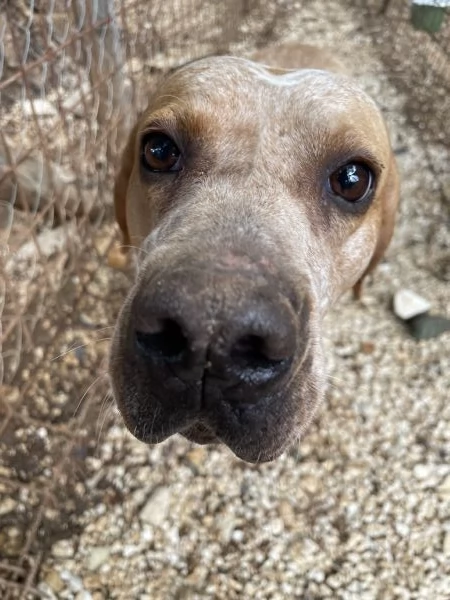 Aria cerca casa  | Foto 2