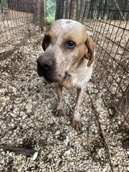 Aria cerca casa  | Foto 1