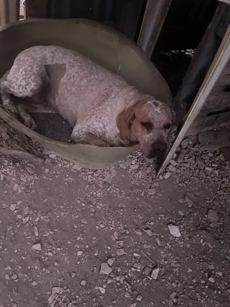 Aria cerca casa  | Foto 0