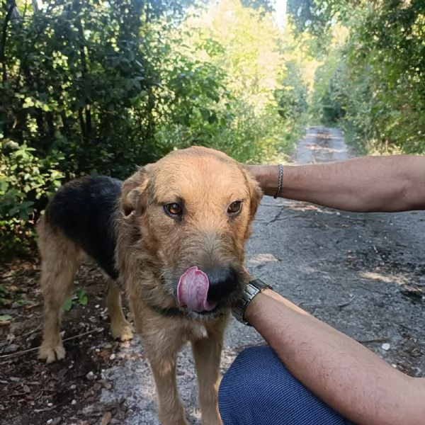 Yuri abbandonato a se stesso  | Foto 2