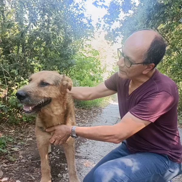 Yuri abbandonato a se stesso 