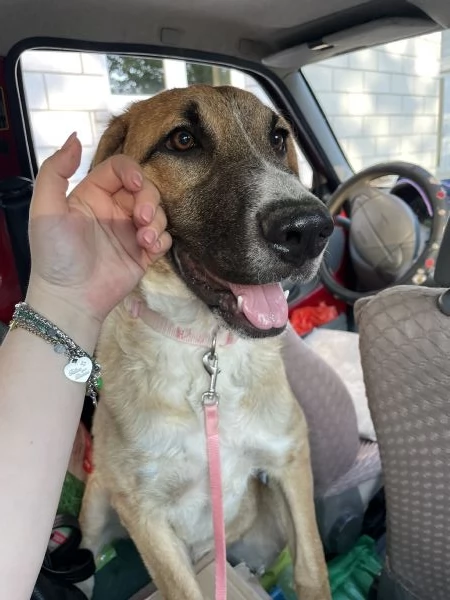 Salviamo Mafalda  | Foto 4