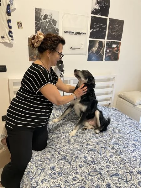 BALTO cerca casa  | Foto 2