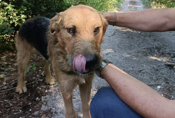 Yuri merita una casa  | Foto 6