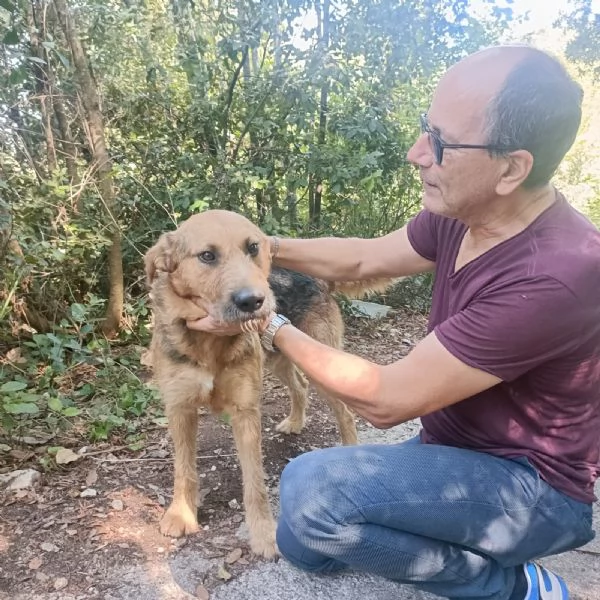 Yuri merita una casa  | Foto 5