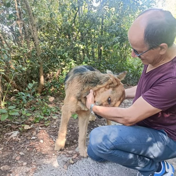 Yuri merita una casa  | Foto 4