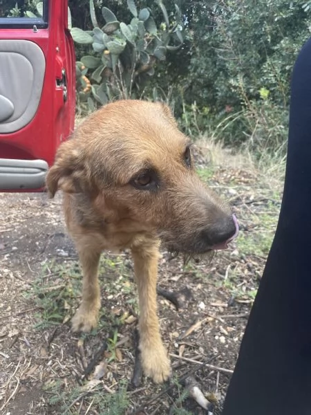 Yuri merita una casa  | Foto 3