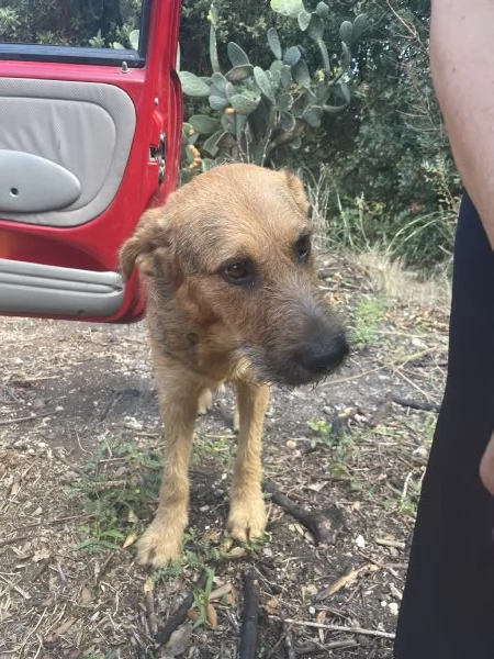 Yuri merita una casa  | Foto 2