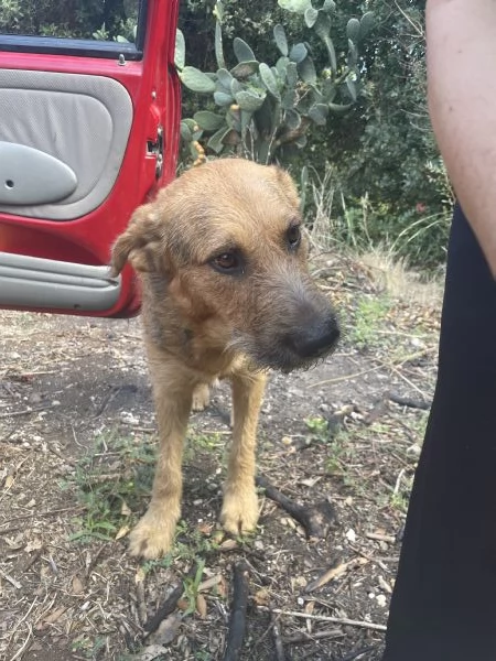 Yuri merita una casa 