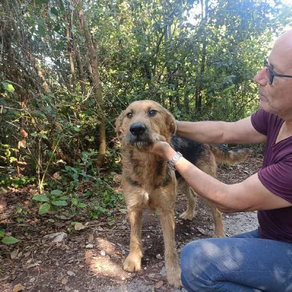 Yuri merita una casa  | Foto 0