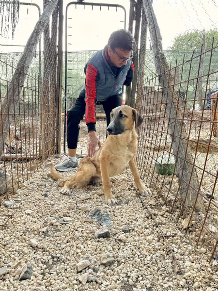 Mafalda merita una casa  | Foto 5
